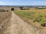 IMG 20220914 115922