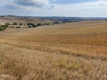 IMG 20220914 105644