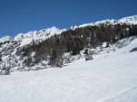 IMG 1832