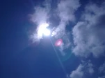 24072011264