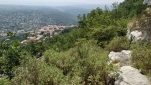 IMG 20200722 125919