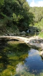 IMG 20200727 120319
