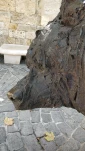 IMG 20200730 115528