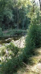 IMG 20200724 184700