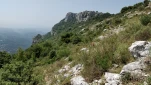 IMG 20200722 113438