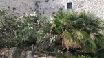 IMG 20200723 174504