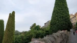 IMG 20200723 193636