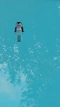 IMG 20200731 193255