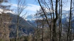 IMG 20210302 113016