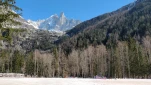 IMG 20210301 134033