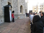 IMG 1664