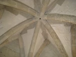 IMG 1651