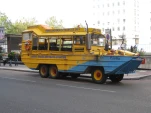IMG 1543