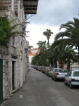 IMG 0919