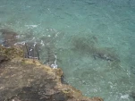 IMG 0893