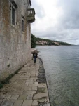 IMG 0908