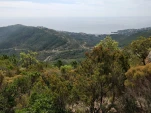 IMG 20190528 110705