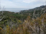 IMG 20190526 123124