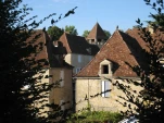 IMG 2769