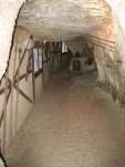 IMG 2727