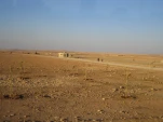 IMG 0167