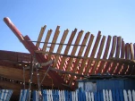 IMG 0150