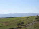 IMG 0170