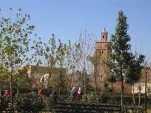 IMG 0109