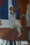 Photo 004