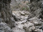 IMG 3785
