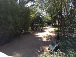 IMG 20160726 114947