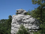 IMG 2445